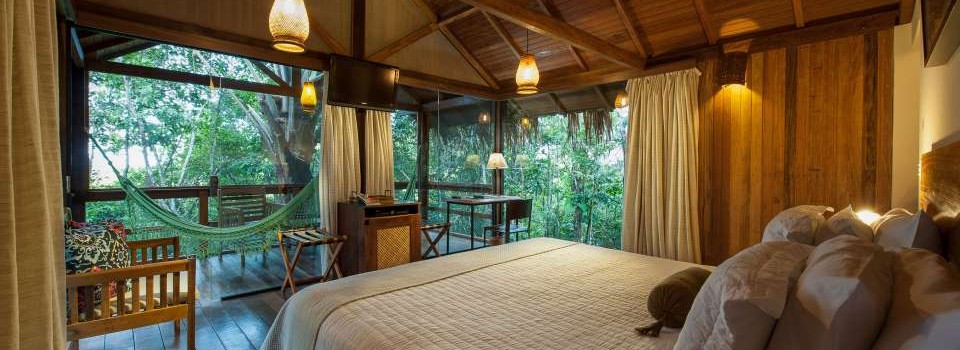 A view from Anavilhanas jungle lodge, you can see the vibrant plant life outside from the bed.