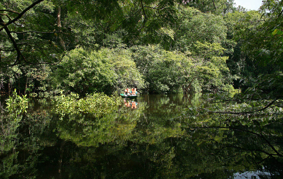 A canoe heads deep into the Igarapé. 