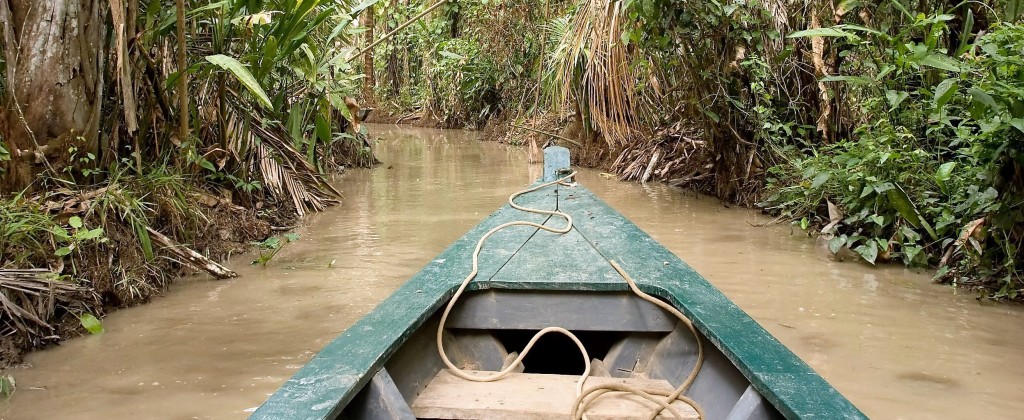 Shot from a canoe heading deep in to the Amazon rainforest. 