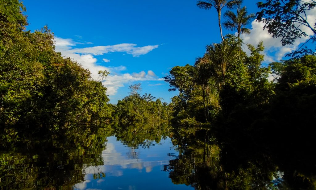The blue sky reflects off the Amazon rainforest. 