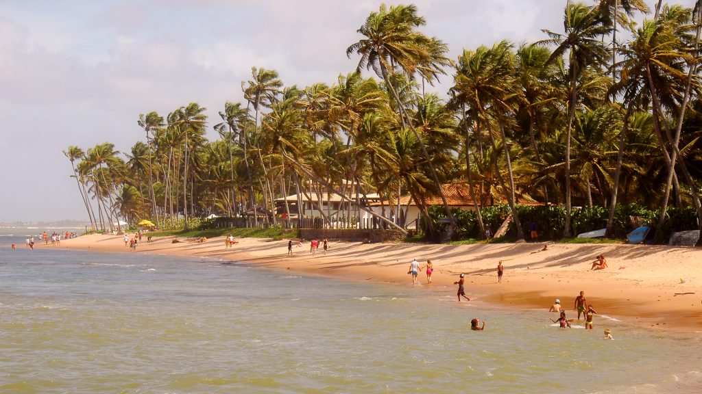 People enjoy the sunsplashed beach at praia do forte. 