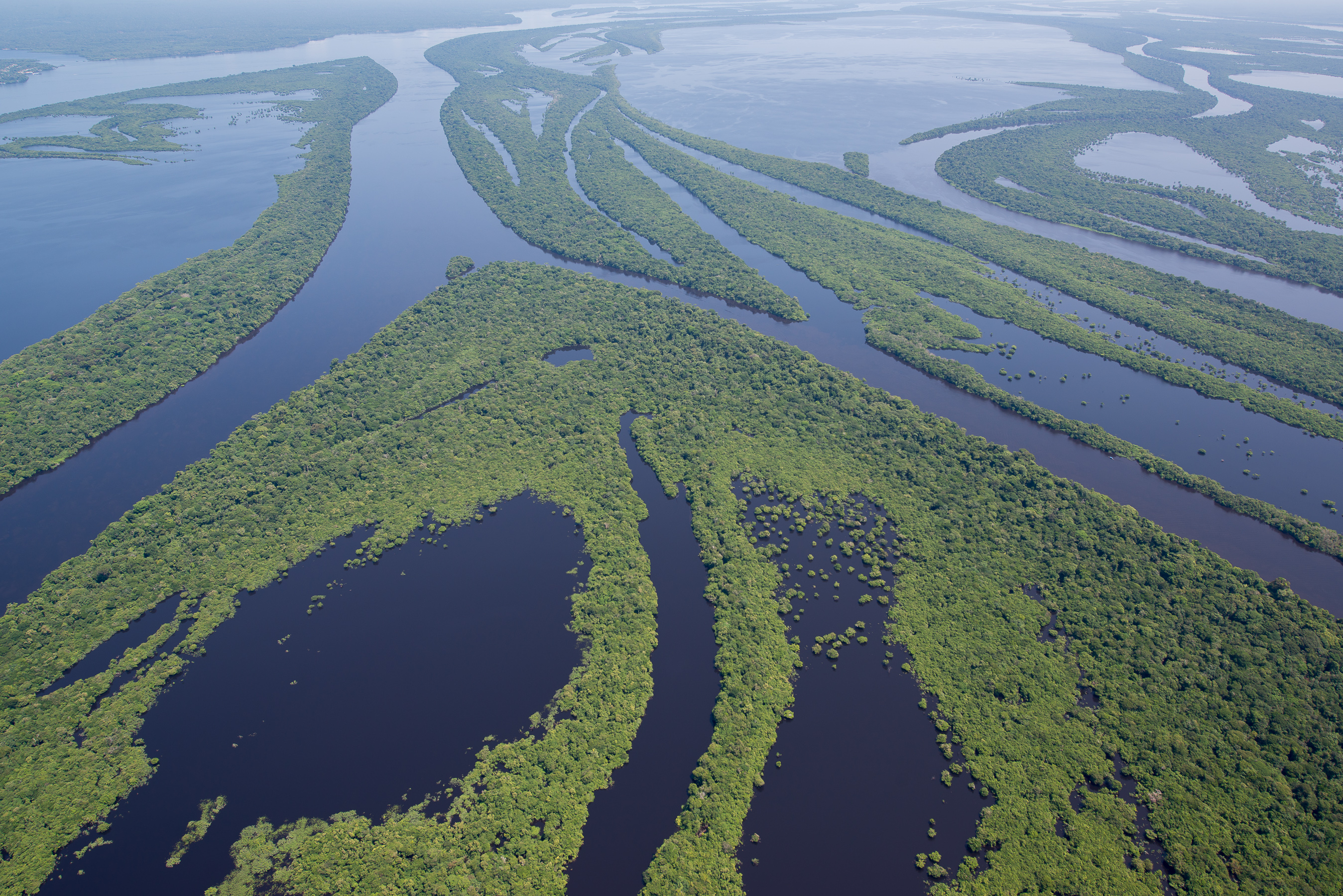 Private Rio Negro  cruise discover the secrets of the Amazon 