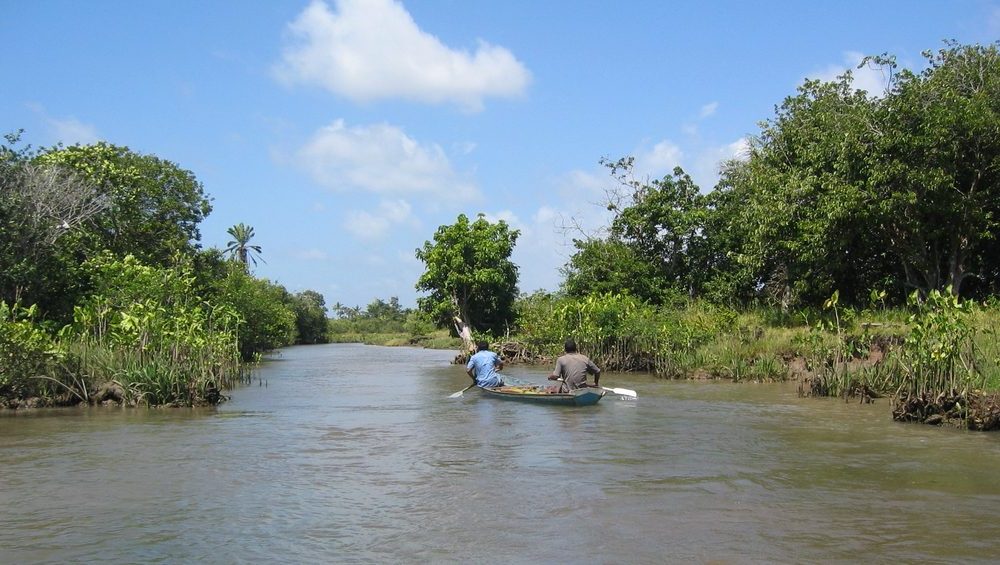 Exploring the Parnaíba delta by canoe. 