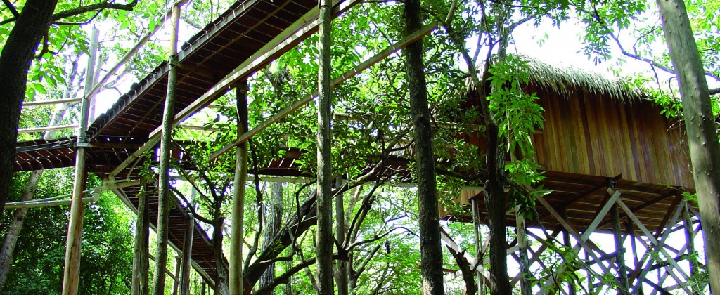 Looking up at the walkways of the Juma lodge winding through the trees.