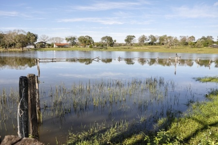 View of Pantanal wetlands. 