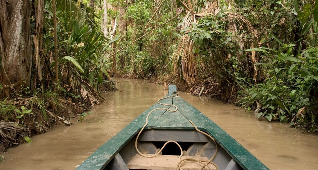 A canoe heads deep into the Amazon rainforest. 