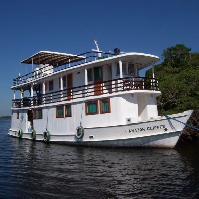 Amazon river boat, docked at a mangrove.