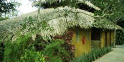 One of the bungalows of the eco-park jungle lodge. 