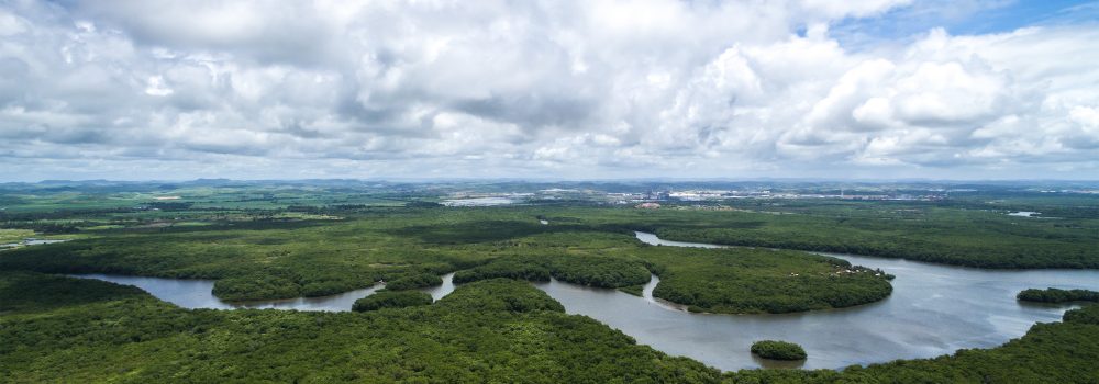 The Geography of the  - Brazil's miracle of biodiversity