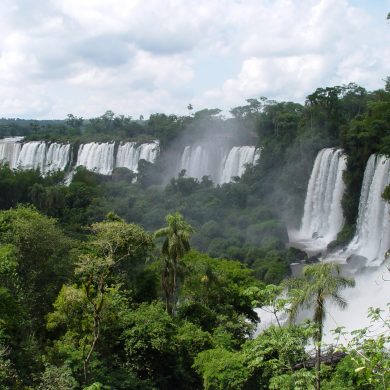 chutes d'Iguaçu au milieu de la jungle luxuriante