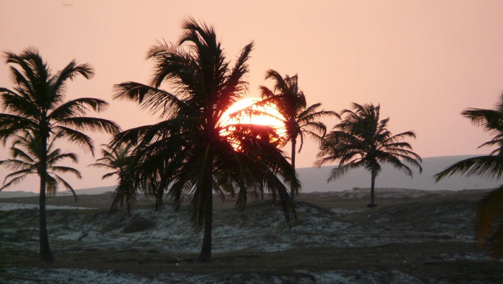 A beautiful sunset behind the palm trees in Brazil. 