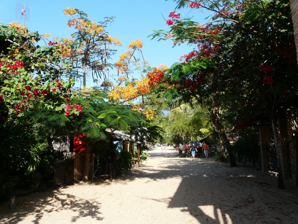 The beautiful sandy streets of Jericoacoara with colourful flowers bordering them. 