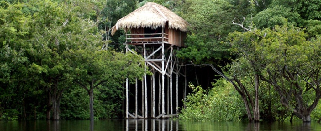 One of the bungalows of the Juma lodge, built on the edge of the river on tall stilts.