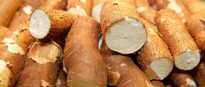 Indigenous ingredient - cassava.